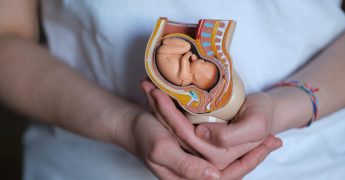 nurturing doula holds a replica of an embryo in the womb, showcasing her dedication to assisting mothers through childbirth.